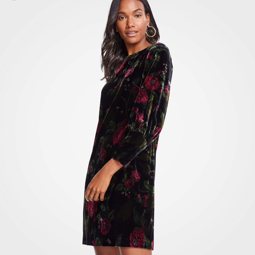 Ann Taylor Floral Velvet Shift Dress, size 6.